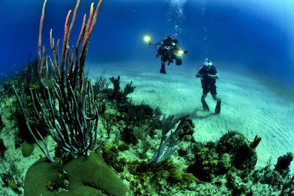 Diving in Sicily, courses and outings with instructors